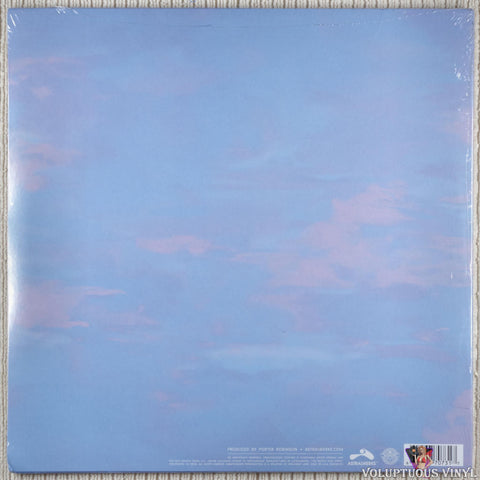 Porter Robinson ‎– Worlds vinyl record back cover