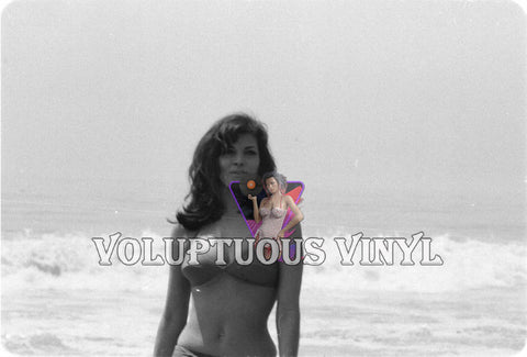 Raquel Welch Bikini Beach 1960's Photo Negative