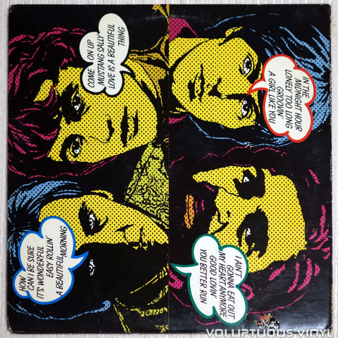 The Rascals ‎– Time Peace: The Rascals' Greatest Hits - Vinyl Record - Back Cover