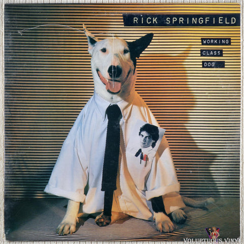 Rick Springfield – Working Class Dog vinyl record front cover