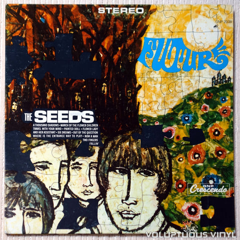 The Seeds – Future (1967) Stereo