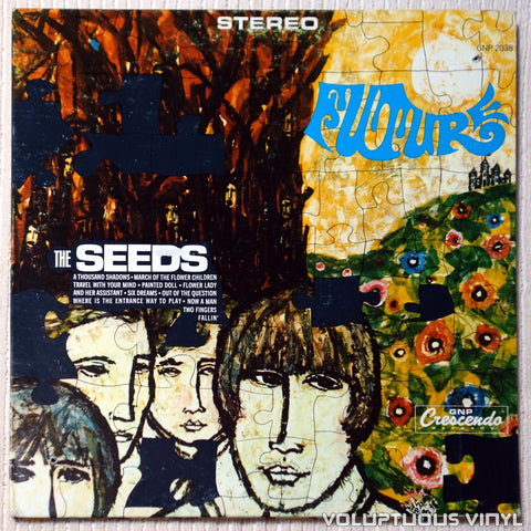 The Seeds ‎– Future vinyl record front cover