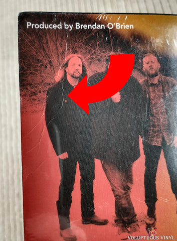 Seether ‎– Isolate And Medicate vinyl record back cover top left corner