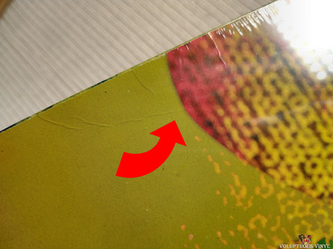 Seether ‎– Isolate And Medicate vinyl record back cover top right corner 