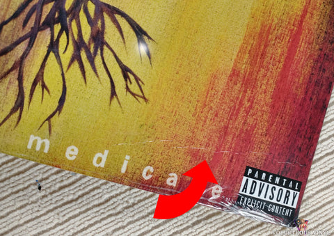 Seether ‎– Isolate And Medicate vinyl record front cover bottom right corner