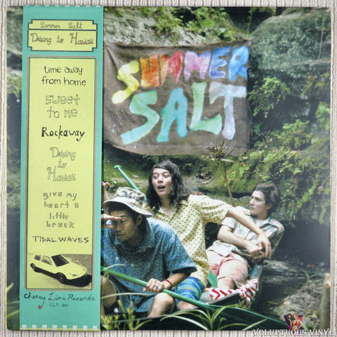 Summer Salt – Driving To Hawaii vinyl record front cover