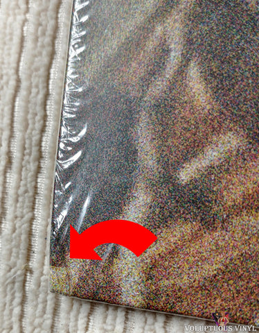 Surfer Blood ‎– 1000 Palms vinyl record front cover bottom left corner
