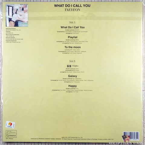 Taeyeon – What Do I Call You vinyl record back cover