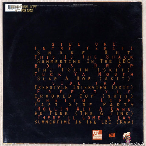 The Dove Shack ‎– This Is The Shack vinyl record back cover