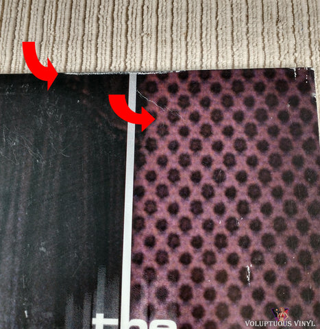 The Goo Goo Dolls ‎– Dizzy Up The Girl vinyl record front cover top right corner section