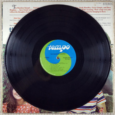 The Random Sample ‎– The Random Sample vinyl record