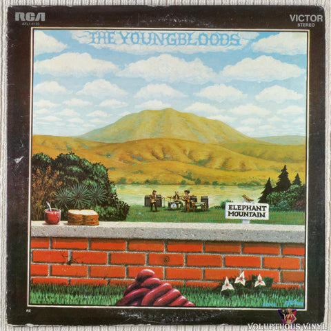 The Youngbloods – Elephant Mountain (1977) Stereo