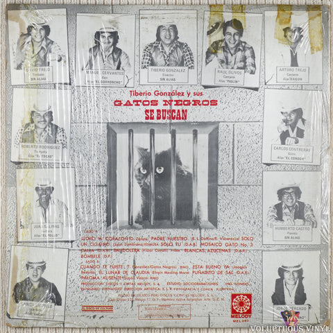 Tiberio Y Sus Gatos Negros – Se Buscan vinyl record back cover