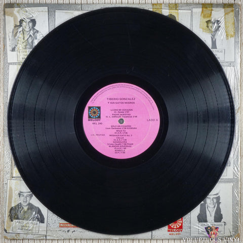 Tiberio Y Sus Gatos Negros – Se Buscan vinyl record