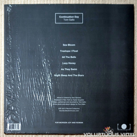 Tom Gallo ‎– Continuation Day - Vinyl Record - Back Cover