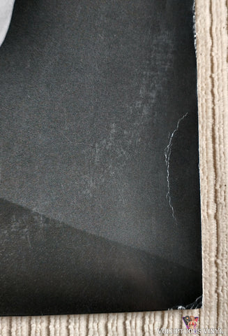 Troye Sivan ‎– Bloom vinyl record front cover bottom right corner