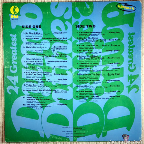 Various ‎– 24 Greatest Dumb Ditties vinyl record back cover