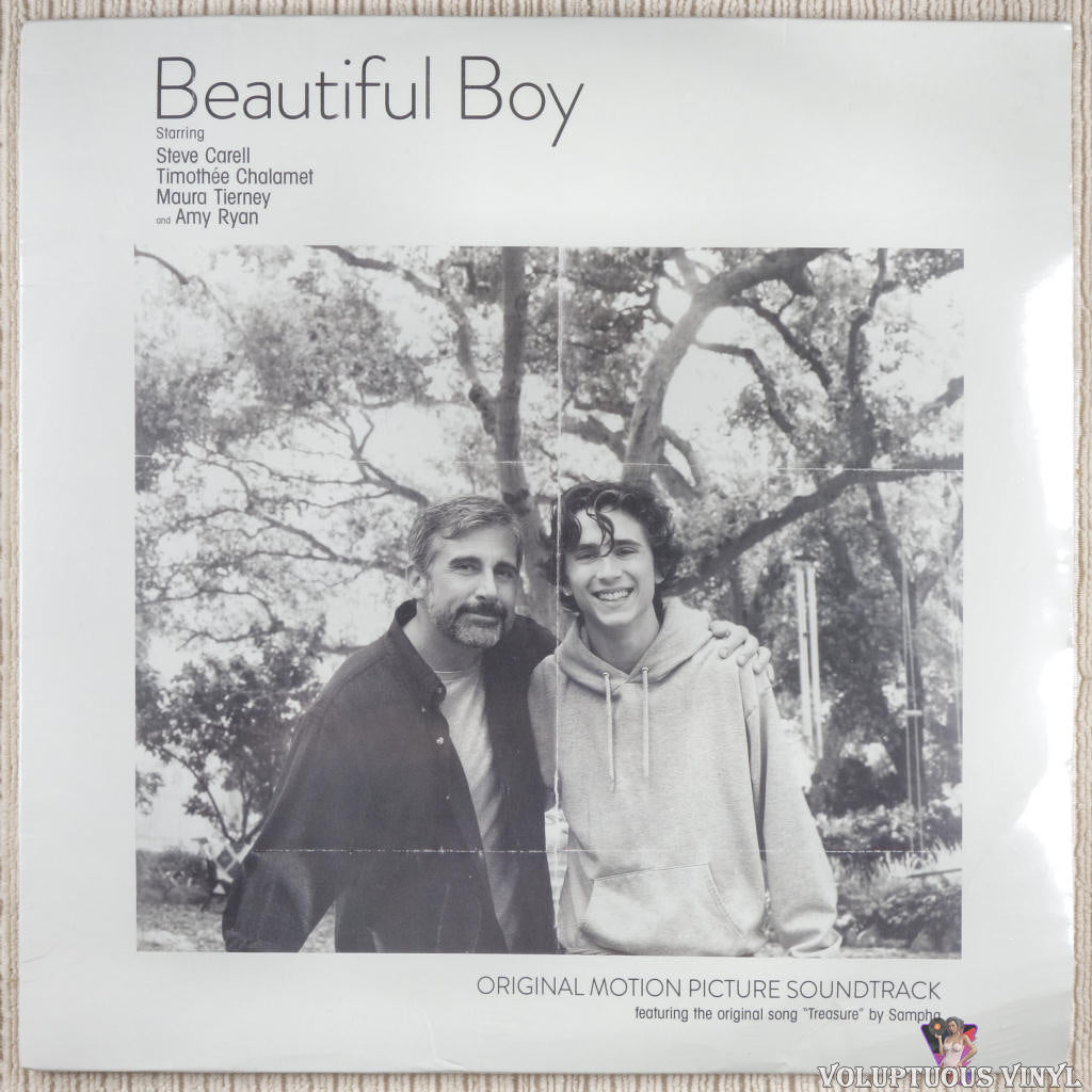 Various ‎– Beautiful Boy (Original Motion Picture Soundtrack) vinyl record front cover