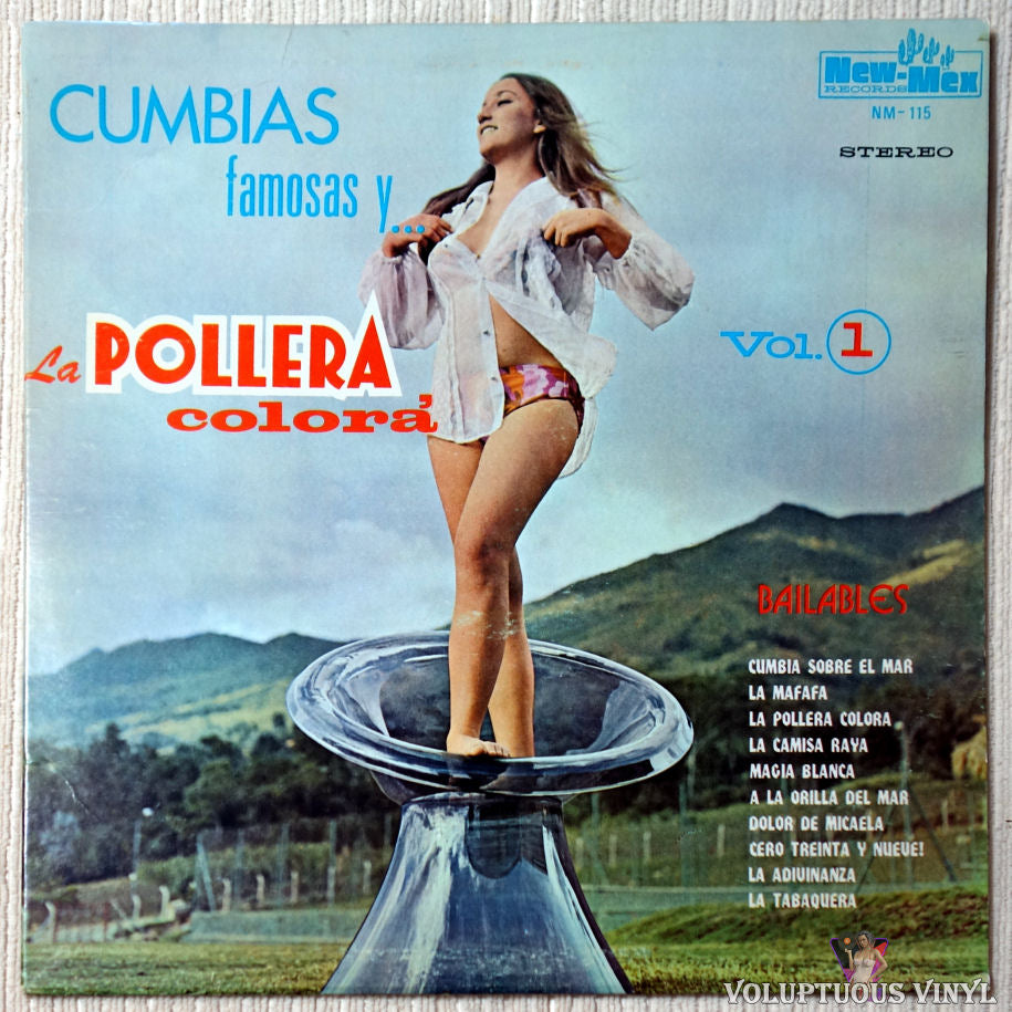 Various ‎– Cumbias Famosas Y La Pollera Colora Bailables vinyl record front cover