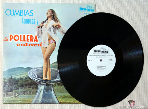 Various ‎– Cumbias Famosas Y La Pollera Colora Bailables vinyl record 