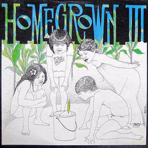 Various – Homegrown III (1978)