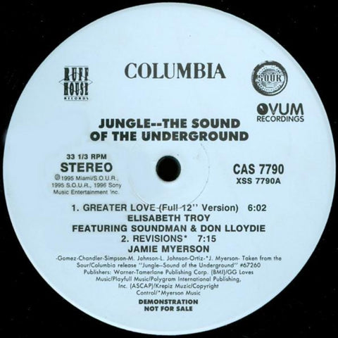 Various – Jungle--The Sound Of The Underground (1996) 12" Single, Promo