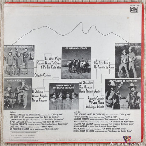 Various ‎– Los Mejores 15 Exitos Norteños vinyl record back cover