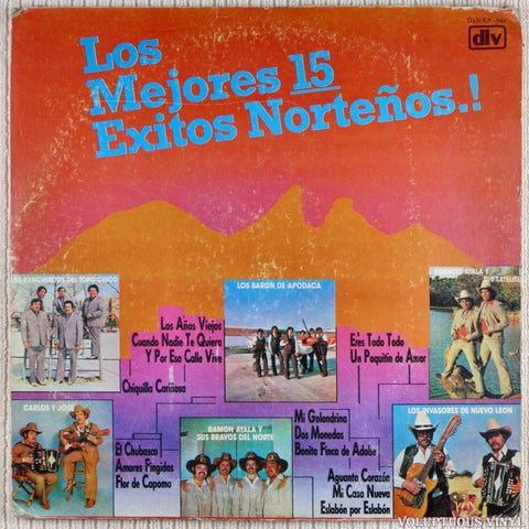 Various ‎– Los Mejores 15 Exitos Norteños vinyl record front cover