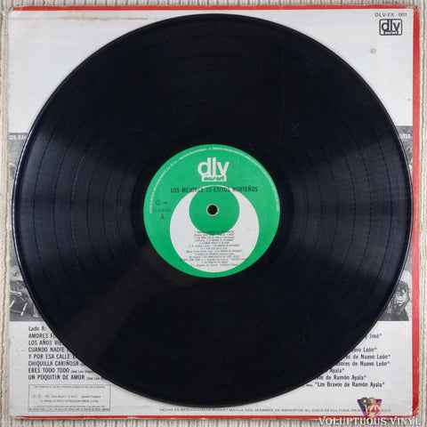Various ‎– Los Mejores 15 Exitos Norteños vinyl record