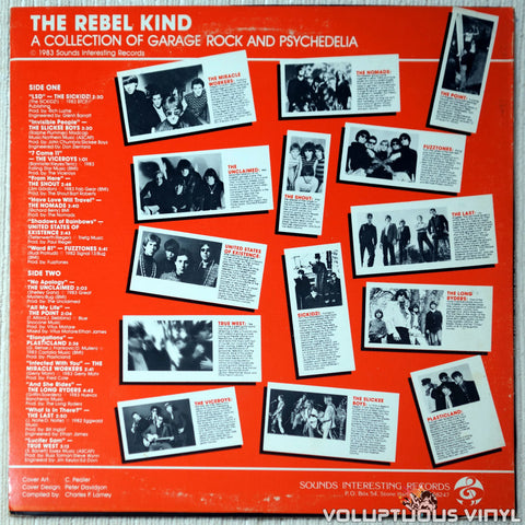 Various ‎– The Rebel Kind vinyl record back cover