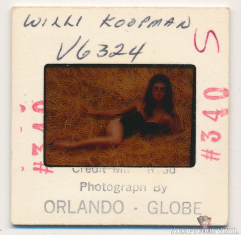 Willi Koopman Black Negligee Roll In The Hay 1960's Color Positive Film Slide