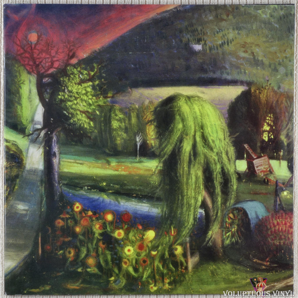 Wooden Wand & The Vanishing Voice ‎– Gipsy Freedom vinyl record front cover