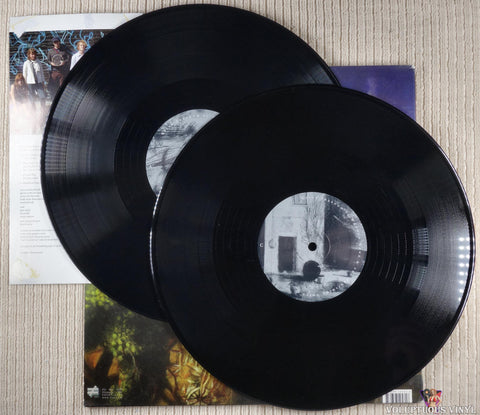 Wooden Wand & The Vanishing Voice ‎– Gipsy Freedom vinyl record
